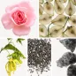 Preview: Duftnoten: Rose, Birne, Yang-Ylang, Ambrettsamen, Moschus Preview: Duftnoten: Rose, Birne, Yang-Ylang, Ambrettsamen, Moschus